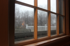 Dreary Day