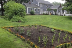 Yard Garden
