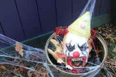 clown web